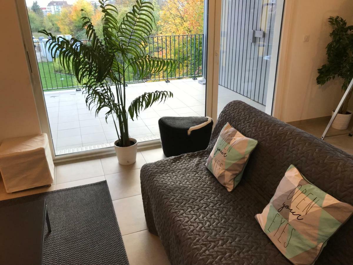 Appartement "Harmonea" Strasbourg Bagian luar foto